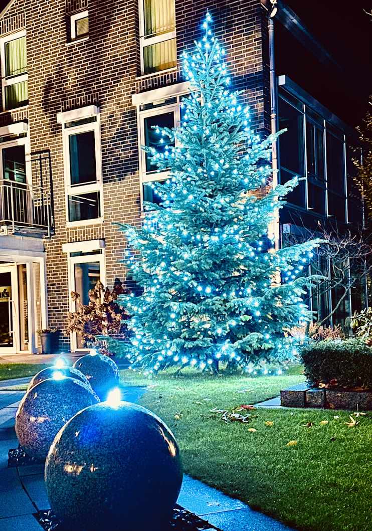 Restaurant la Calma Weihnachtsbaum